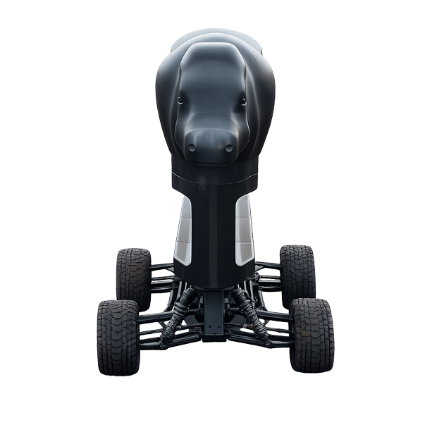 Roping Solutions Machine